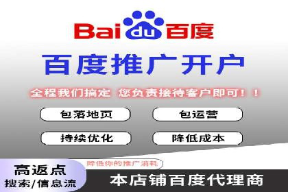 成功运用SEM服务实现品牌推广的案例分析